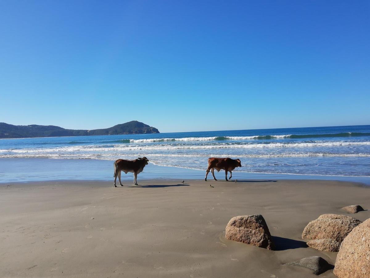 Pousada Gopak Praia do Rosa Exterior foto